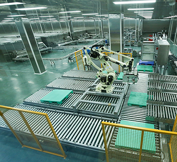 食用菌工厂化生产厂房设计通用技术规范 打造现代化食用菌产业基石